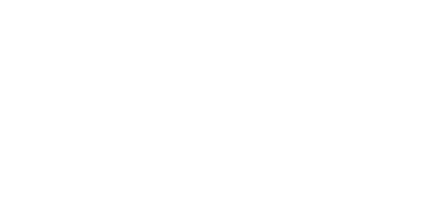 Ferrucci-Logo